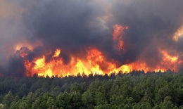 Cảnh báo sau những cơn mưa ngắn là nguy cơ cháy rừng tăng cao