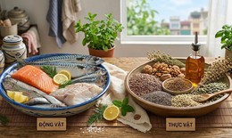 Omega-3 có nguồn gốc động vật và thực vật, loại nào tốt hơn?