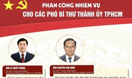 [Infographic] Phân công nhiệm vụ các Phó Bí thư Thành ủy TPHCM