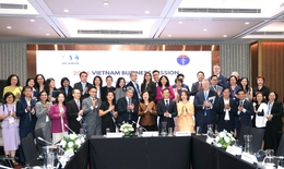 Bộ Y tế đối thoại với đoàn doanh nghiệp Hội đồng Kinh doanh Hoa Kỳ - ASEAN thúc đẩy hợp tác, đầu tư về y tế