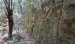 Sự thật về bức tường đá giữa rừng già