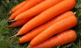 Duy trì thị lực khỏe mạnh với 6 loại thực phẩm giàu dưỡng chất cho mắt