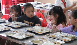 Phụ huynh thấp thỏm sau những bữa 'cơm hộp' ở trường