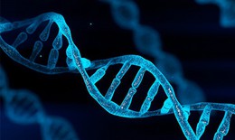 Phát hiện 17 triệu biến thể di truyền mới trong bộ gene của người Ai Cập