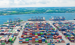 Công ty Cổ phần Kho vận Tân Cảng vi phạm chứng khoán