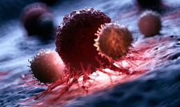 Y học thế giới tìm ra cách biến tế bào T thành 'siêu chiến binh' diệt ung thư