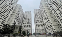 Cư dân HH Linh Đàm nhận phiếu khảo sát 'trả nhà - nhận tiền':  Dựa trên cơ sở pháp lý nào?