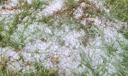 Mưa đá, lốc xoáy gây thiệt hại ở Quảng Ngãi