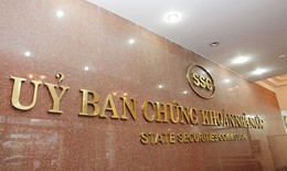 Công ty Dịch vụ Danh Việt vi phạm quy định công bố thông tin