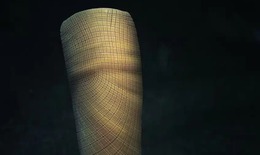 Hóa thạch bọt biển giúp vén màn bí ẩn kéo dài gần 160 triệu năm