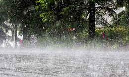 Cập nhật mới nhất thiệt hại do thiên tai dông lốc, mưa đá