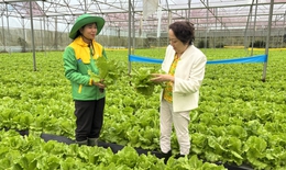 TPHCM định hướng trở thành trung tâm nghiên cứu, thử nghiệm và chuyển giao công nghệ nông nghiệp