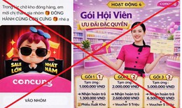 Người phụ nữ mất gần 1 tỷ đồng vì tham gia nhóm 'Đồng hành cùng Con Cưng' giả mạo