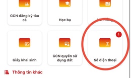 Không thấy số thuê bao di động trên VNeID cần làm gì?