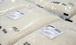 Chuyên gia dự báo giá gạo toàn cầu có thể tăng mạnh