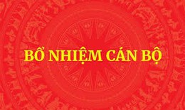 Danh sách Chủ tịch, Phó Chủ tịch UBND 31 tỉnh, thành phố vừa được Thủ tướng phê chuẩn
