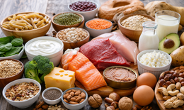17 thực phẩm giàu protein giúp tăng cơ hiệu quả, dễ áp dụng trong chế độ ăn hằng ngày