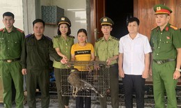 Người dân tự nguyện giao nộp 2 cá thể động vật quý hiếm