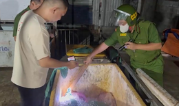 Phát hiện hơn 500kg thịt lợn hư hỏng, bốc mùi tại cơ sở giết mổ 'chui'