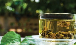Cách dùng lá dâu tằm cải thiện giấc ngủ