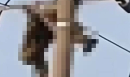 Nam sinh lớp 8 tử vong trên cột điện trung thế