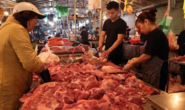 Hà Nội dự kiến xây mới, xây lại 108 chợ, giải tỏa tất cả các 'chợ cóc'