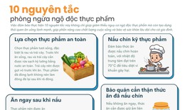 [Infographic] 10 nguyên tắc phòng ngừa ngộ độc thực phẩm