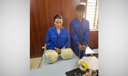 Triệt phá đường dây ma túy xuyên biên giới, thu giữ 10kg thuốc phiện