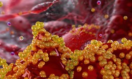 Bất ngờ công dụng mới của loại thuốc điều trị huyết áp quen thuộc