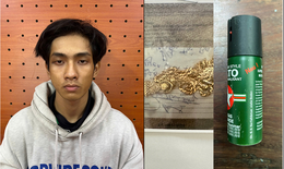 Bắt giữ Nguyễn Minh Nghĩa dùng bình xịt hơi cay cướp dây chuyền vàng