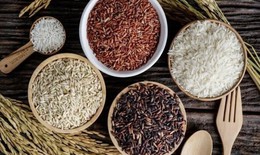Gạo lứt, gạo đen hay gạo đỏ tốt nhất cho sức khỏe đường ruột và tim mạch?