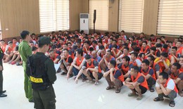 Triệt phá trường gà quốc tế Viêng Xay quy mô đặc biệt lớn