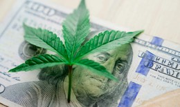 Bước ngoặt lịch sử trong chính sách kiểm soát cần sa tại Mỹ