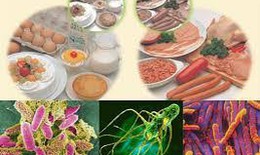 Bộ Y tế yêu cầu truy xuất nguồn gốc thực phẩm vụ hơn 40 học sinh nghi ngộ độc ở Cà Mau