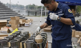 Sẵn sàng cho màn pháo hoa rực sáng Đất Tổ