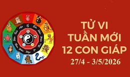 Tử vi tuần mới 12 con giáp 27/4 - 3/5: Hợi ổn định, Mùi gia tăng thu nhập