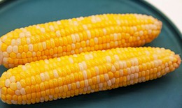 Điều bạn cần biết khi ăn ngô luộc buổi sáng để giảm cân