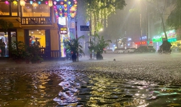 Yêu cầu các địa phương chủ động ứng phó với dông lốc, gió mạnh dịp nghỉ lễ 30/4-1/5