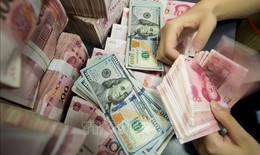 Tỷ giá hôm nay 3/4: USD đi ngang, NDT quay đầu giảm
