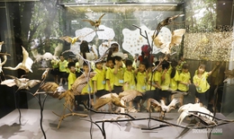 Điểm chạm di sản đang hút khách ở Thủ đô