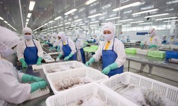 KBSV nhận định, tiềm năng tăng giá của cổ phiếu FMC có thể đạt 47%