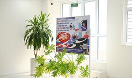 Cấm thuốc lá mới, mở rộng môi trường không khói thuốc: Kinh nghiệm quốc tế và bài toán thực thi tại Việt Nam