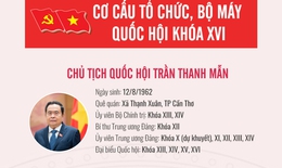 [Infographic] - Cơ cấu tổ chức, bộ máy Quốc hội khóa XVI