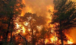 Cảnh báo cháy ở nhiều khu vực do nắng nóng