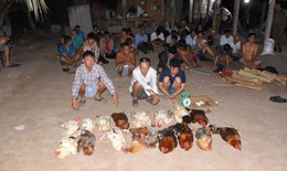 Phá sới đá gà ăn tiền, tạm giữ 35 người