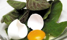 Tác dụng giải độc cơ thể của lá mơ lông