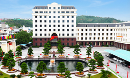 Tổng Công ty Đông Bắc vi phạm chứng khoán