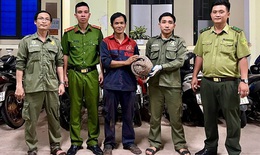 Phát hiện tê tê quý hiếm, người dân báo công an giao nộp cho Hạt kiểm lâm