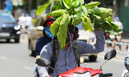Nắng nóng gay gắt kéo dài, khuyến cáo các biện pháp bảo vệ sức khỏe