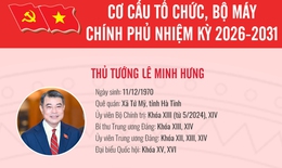 [Inforgraphic] Cơ cấu tổ chức, thành viên Chính phủ nhiệm kỳ 2026 - 2031